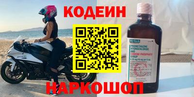 герыч Кингисепп