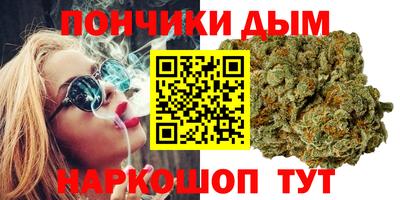 сатива Кимры